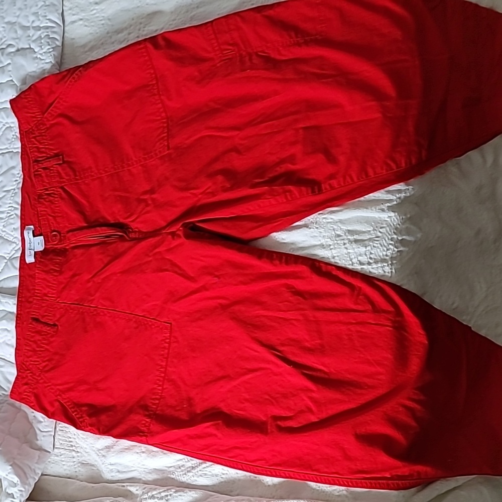 Luz Claiborne Size 16 Ankle Pants